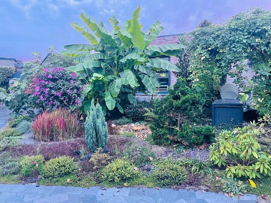 Prachtig Guesthouse Met Gratis Parkeren Маасмехелен Экстерьер фото